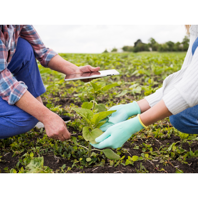 lckpfarmers.com