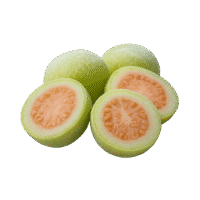 Guava (Jamrukh)